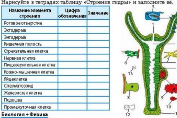 Кракен сайт 2krnk cc