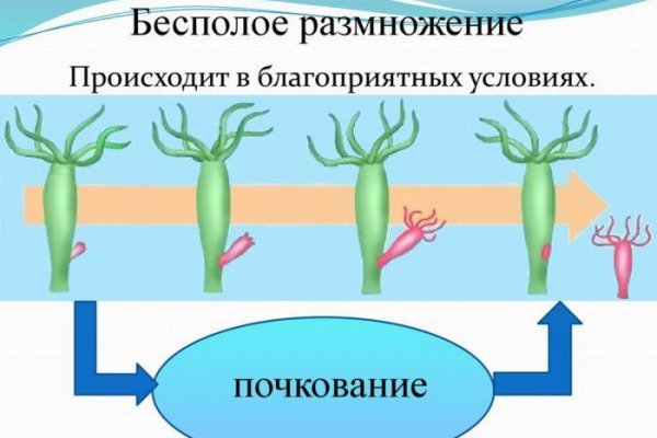 Доступ кракен